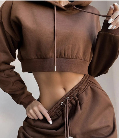 2 Piece Set Sweatsuits Women's Sweatshirt and Sweatpants - Rieworkes