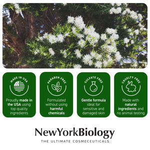 New York Biology Tea Tree Oil Foot Cream for Dry Cracked Feet, Athletes Foot, Nail Fungus, Jock Itch, Ringworm, Cracked Heels and Itchy Skin - Foot Cream - 8 oz Tea Tree - 8.00 Ounce (Pack of 1) 8.00 Ounce (Pack of 1)