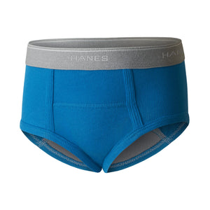 Hanes boys Potty Trainer Underwear 6-Pack 4T Briefs - Blue/Print Assorted - 6 Pack