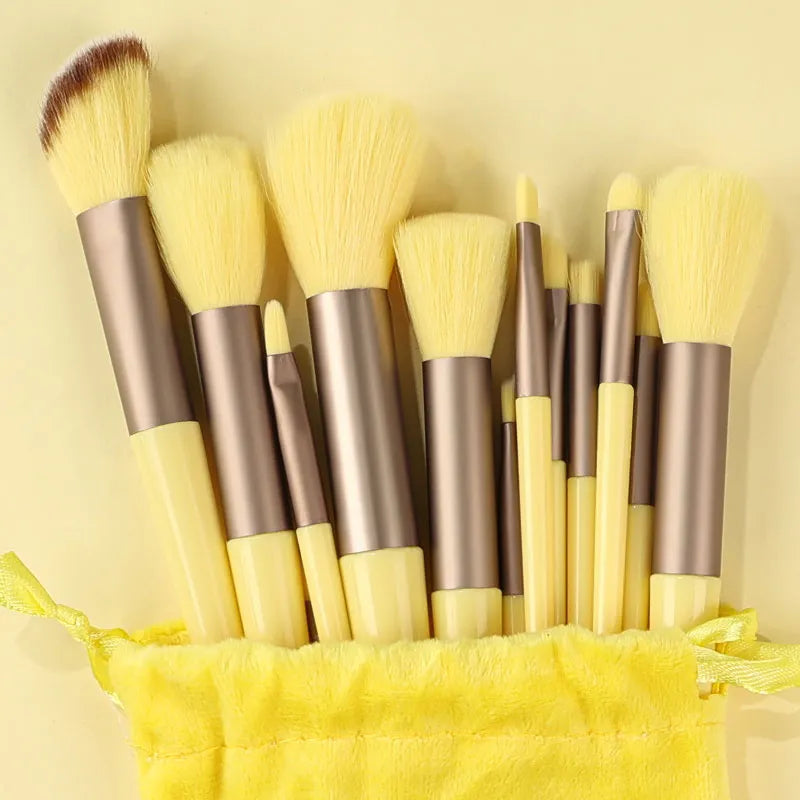 Makeup Brush Set | 13 Piece